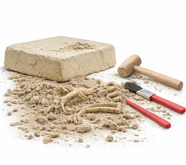 Kit de fouille dinosaure Triceratops – DIG & DISCOVER – Jouet éducatif 6+